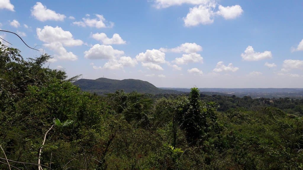 vista de los alredeores