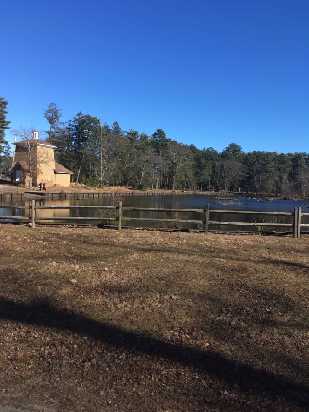 Lake with ducks. Nice walk