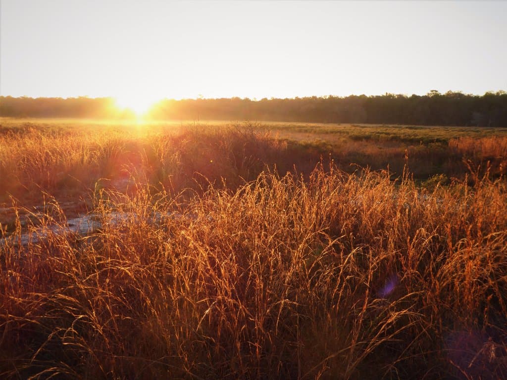 Good morning sunshine