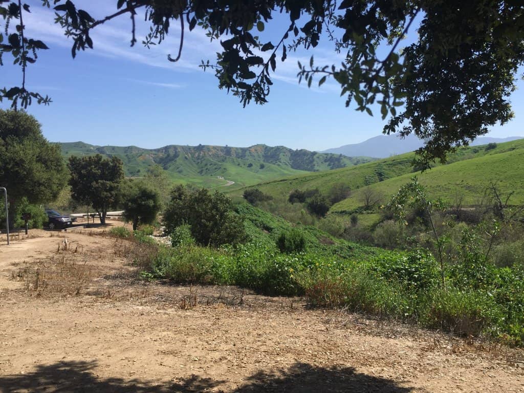 Endless Trail Combinations