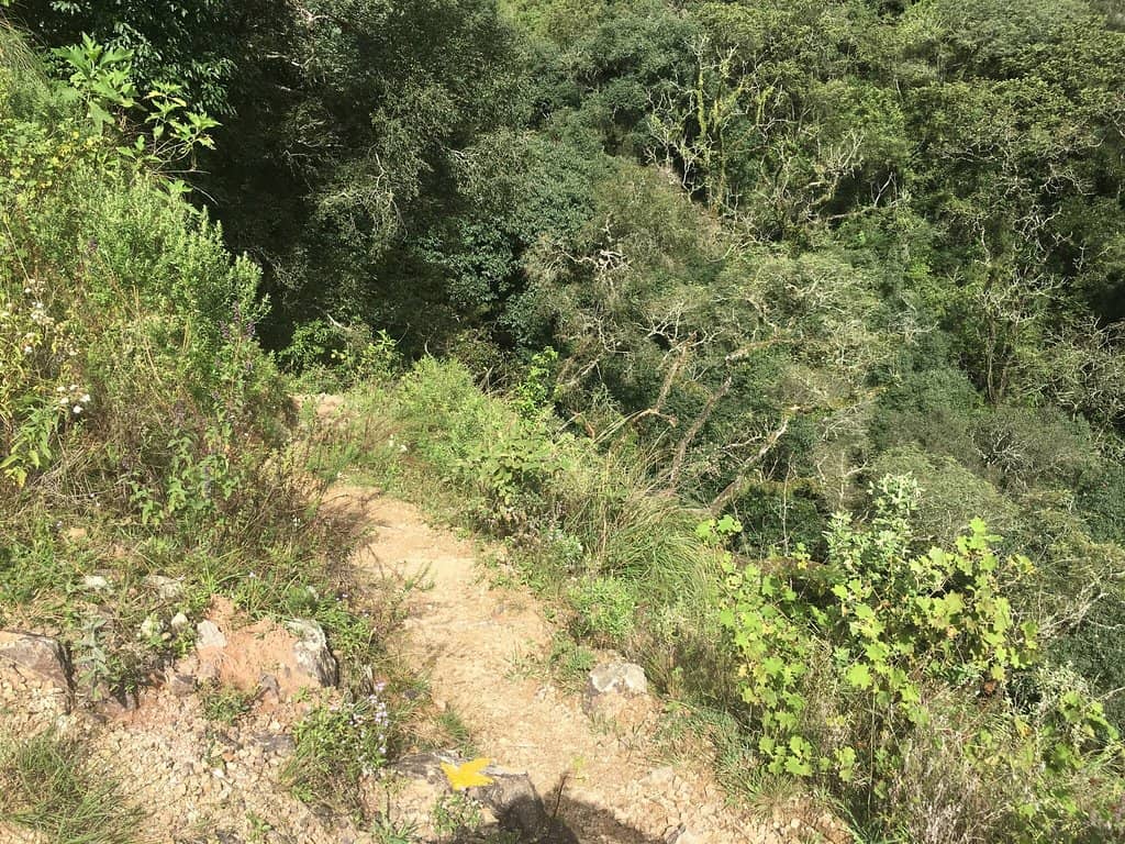 Vertical photo