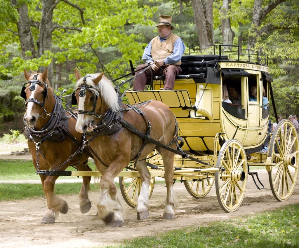 Horse-Drawn Carriage Rides