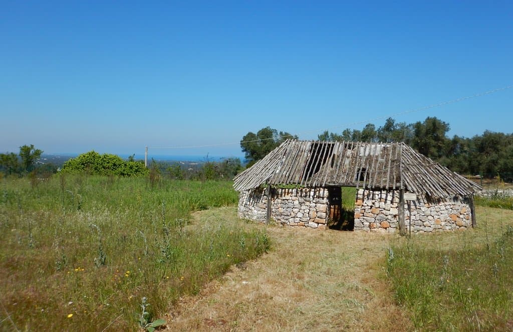 The paleolitical hut