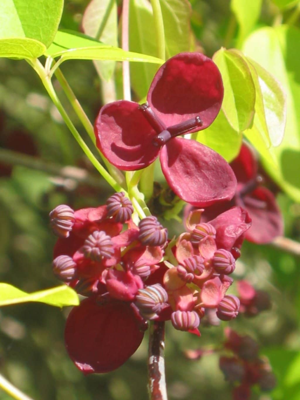 Passionate Guided Tours