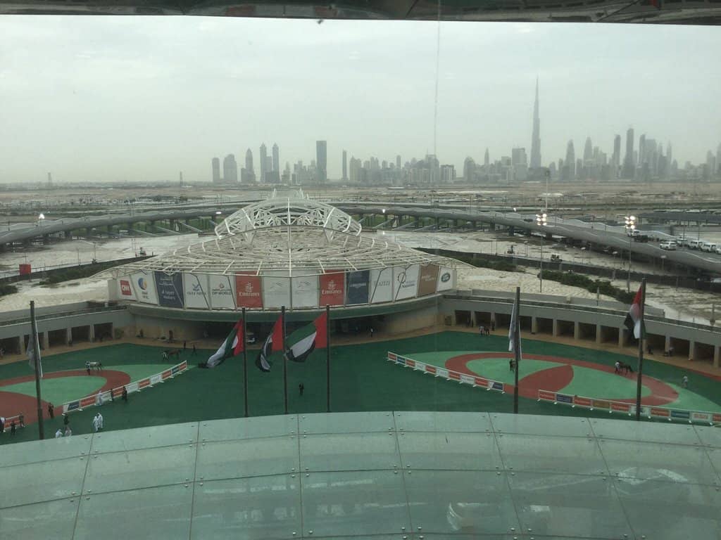 Meydan Grandstand Views
