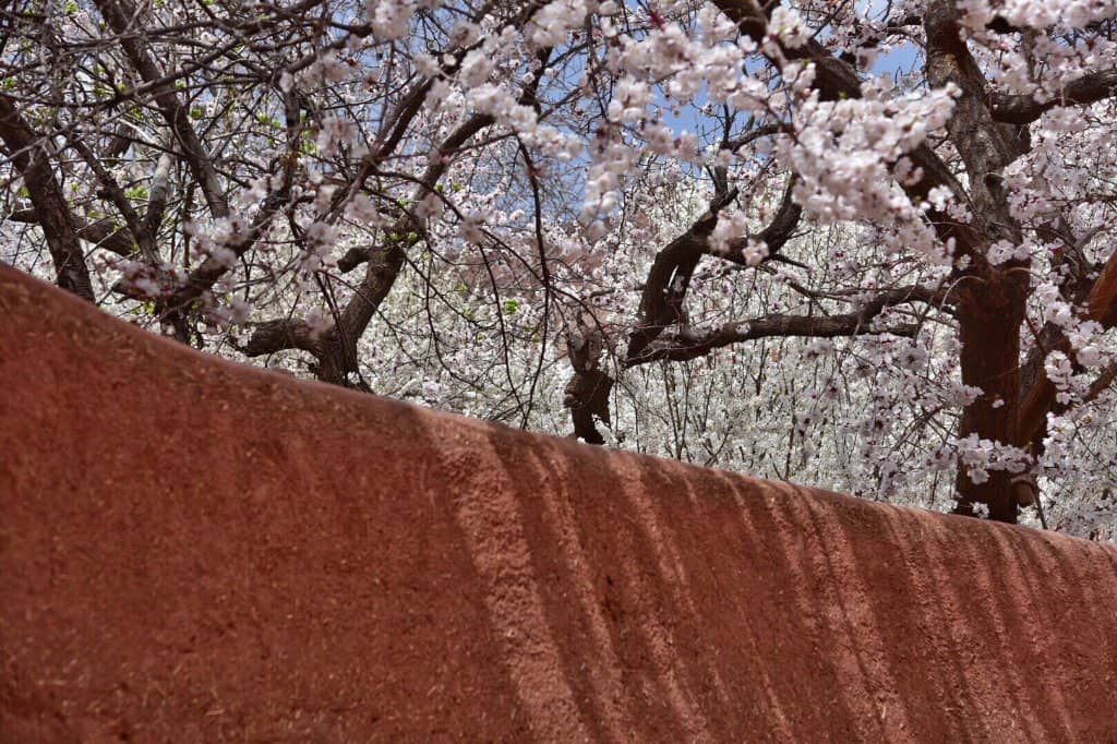 The Red Architecture