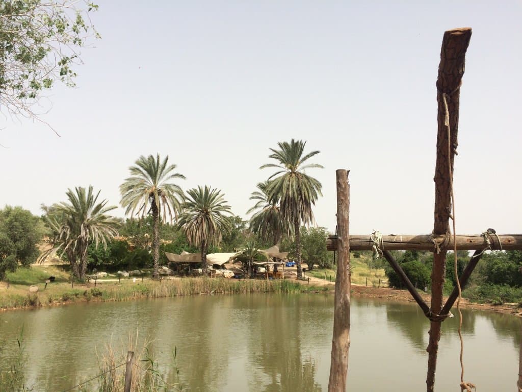 Neot Kedumim Park