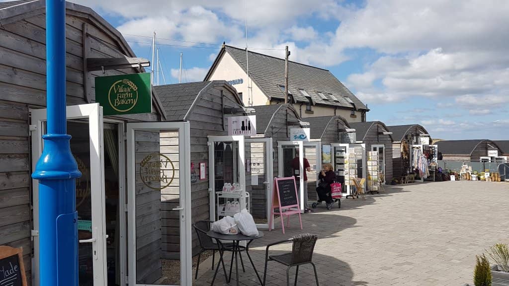 Boat Trips from Amble