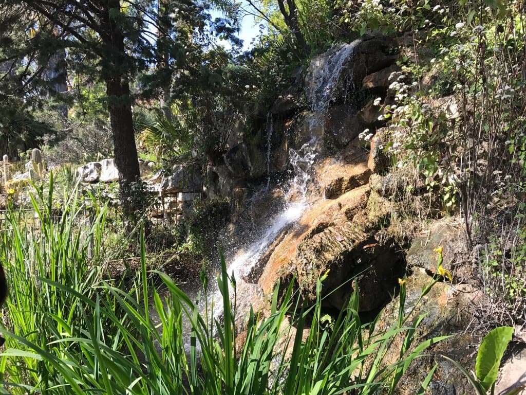 Merveilleux Jardin Botanique de Nice!