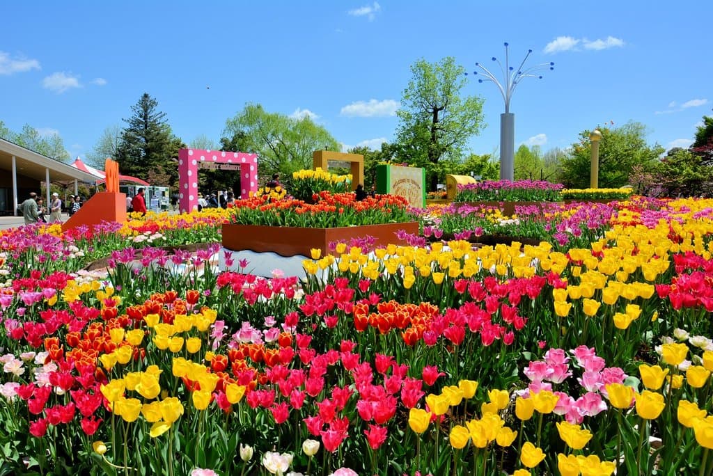 Tonami Tulip Park