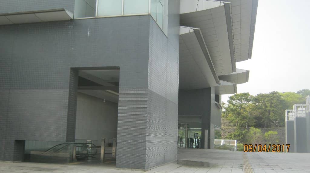 Natural History Exhibits