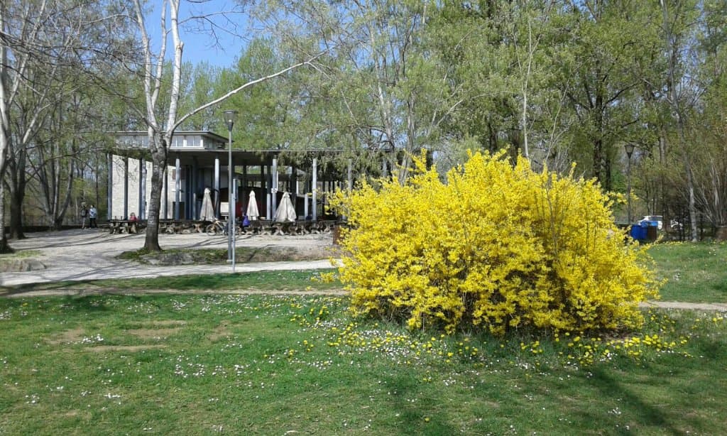 Parco del Cormor