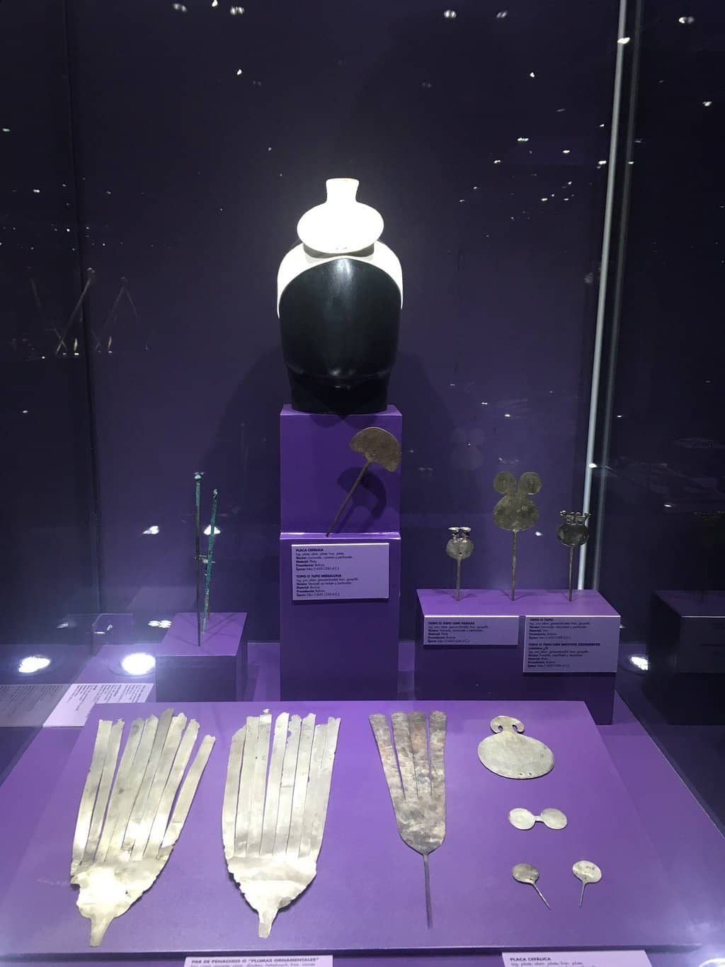 Lepidoptera Exhibition