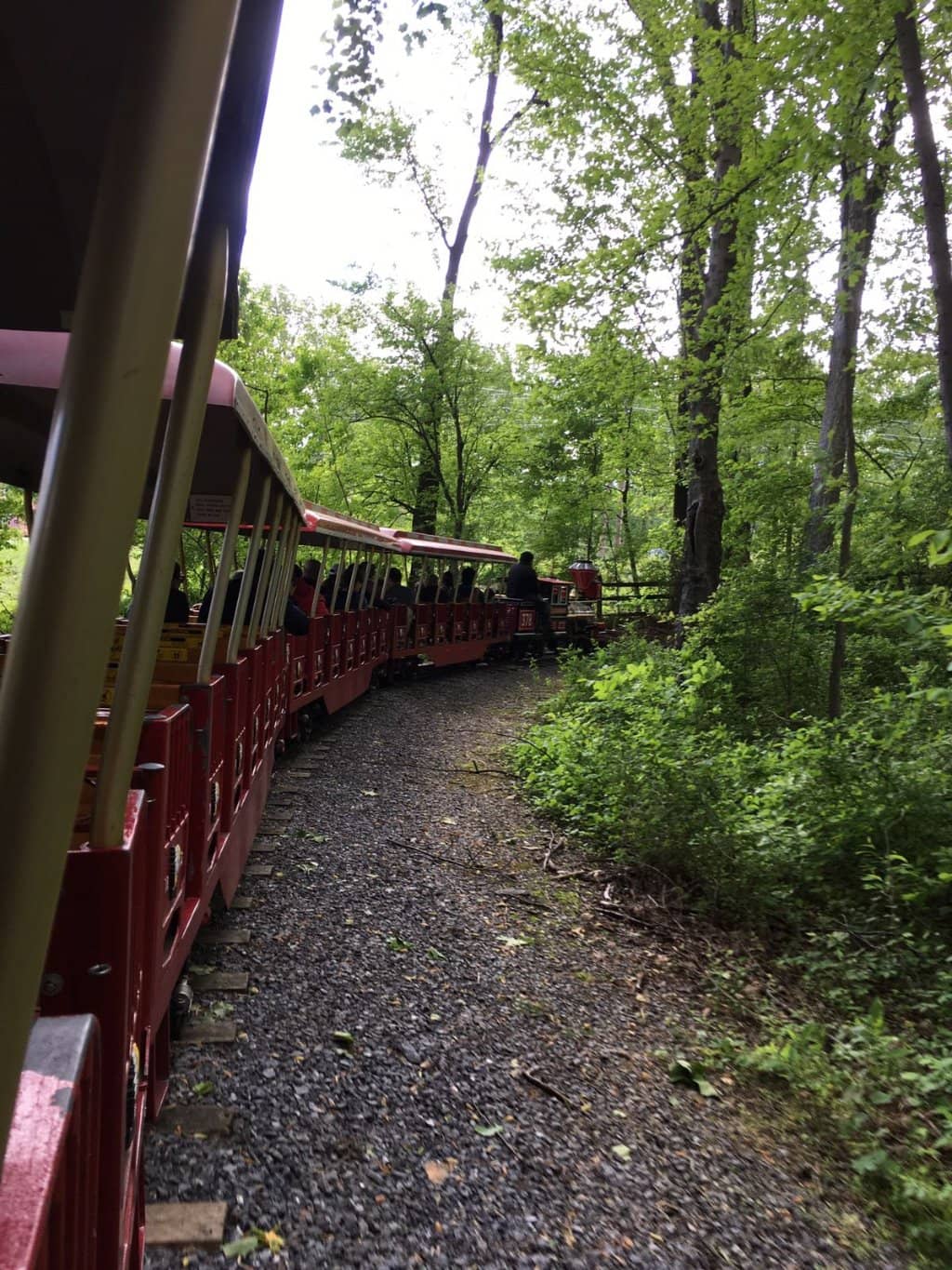 Cades Cove Loop Road