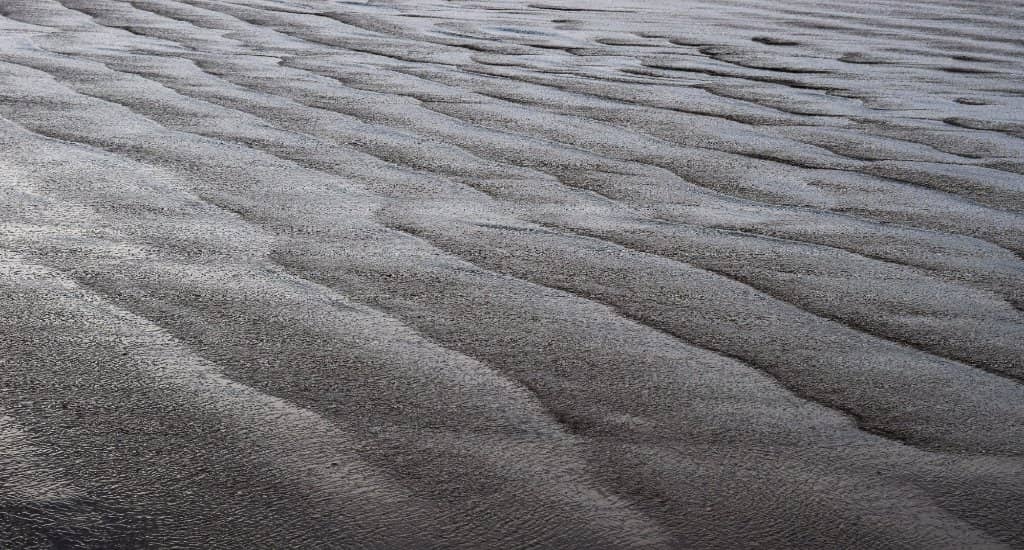 Expansive Sandy Shore