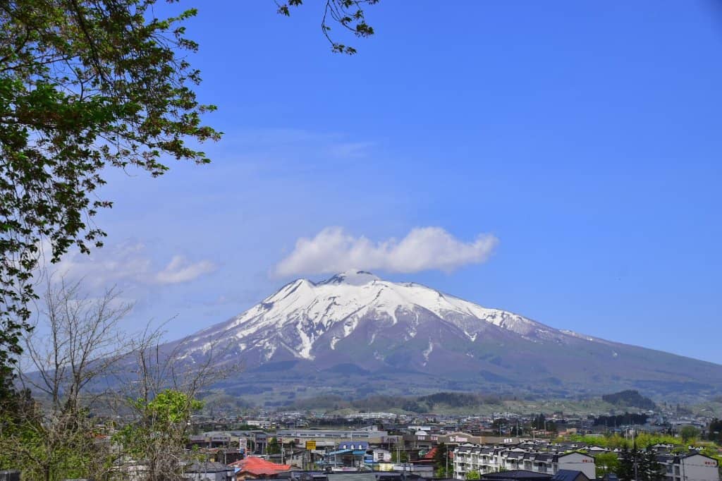 Autumn Foliage Spectacle