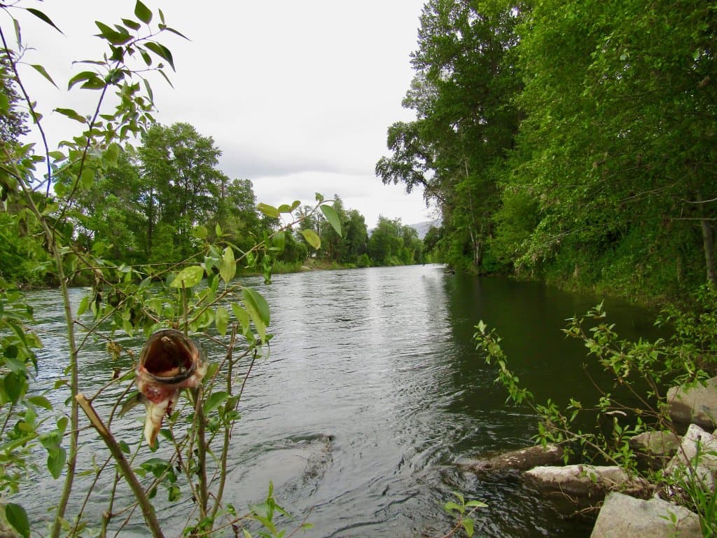Rogue River