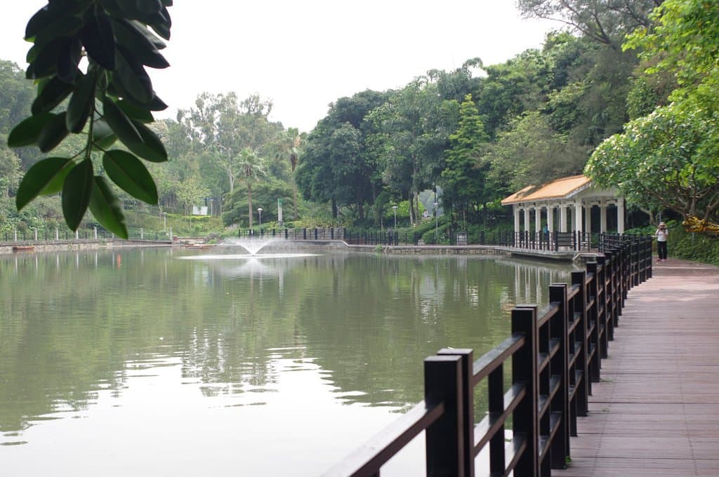 Anothe view of the board walk on North Lake.