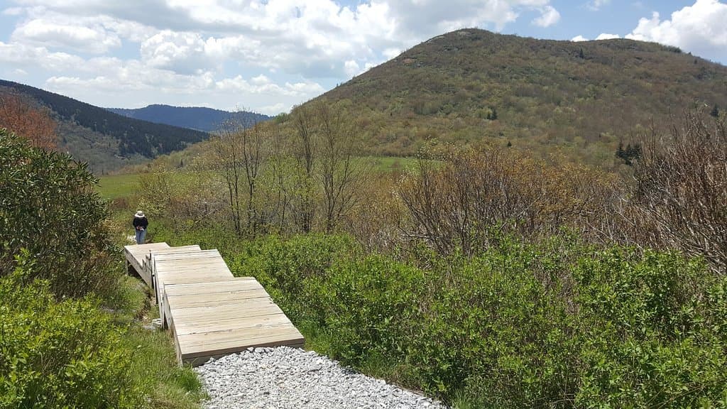 Step stair leading to meadow that you cross to Sam Knob (in background)