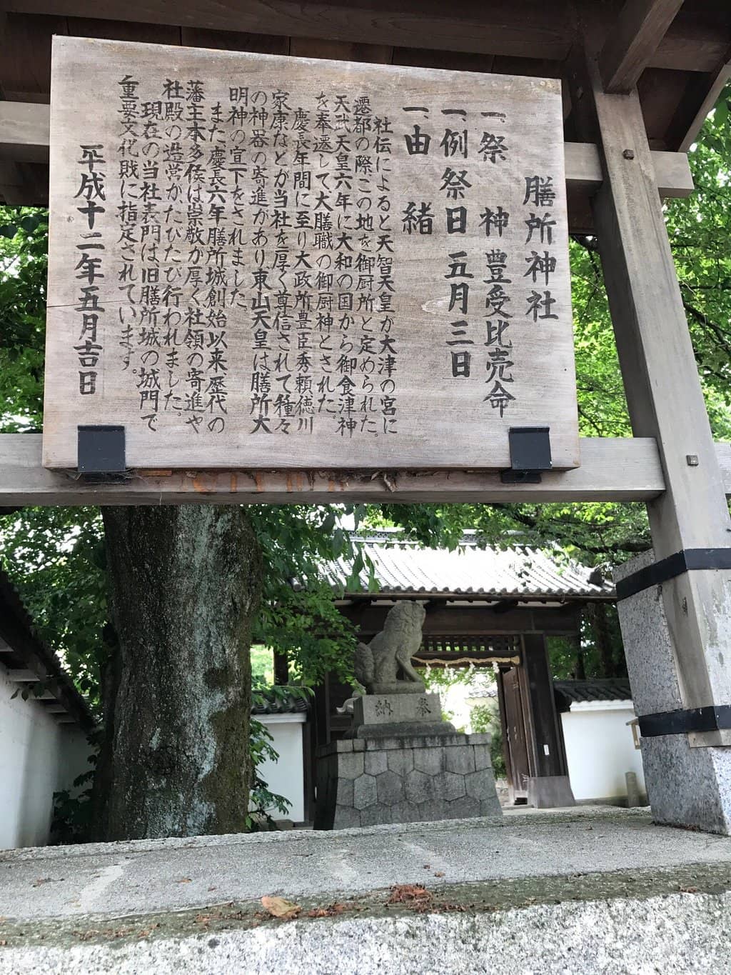 Torii Gate with Cherry Blossoms