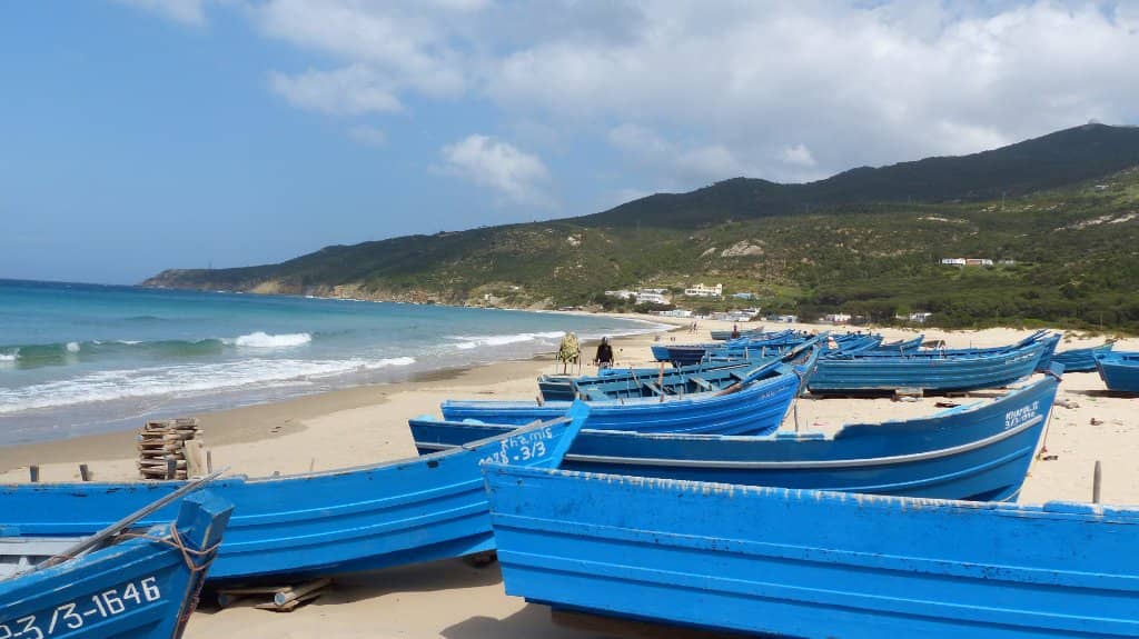 Pristine Sandy Shores