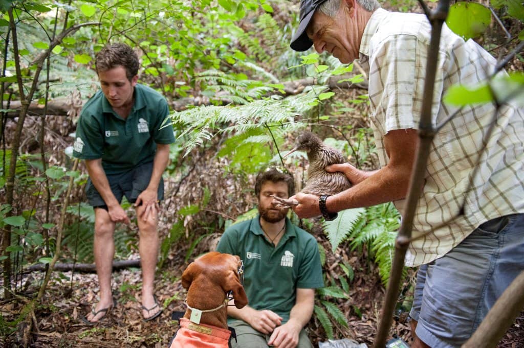 Native Bush Loop Track