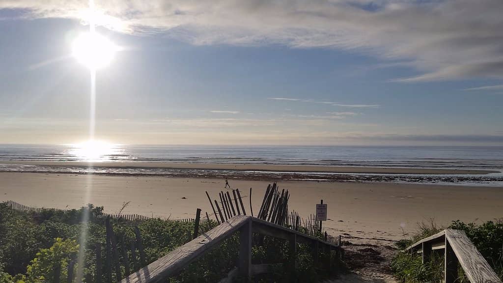 Soft Sands & Gentle Surf