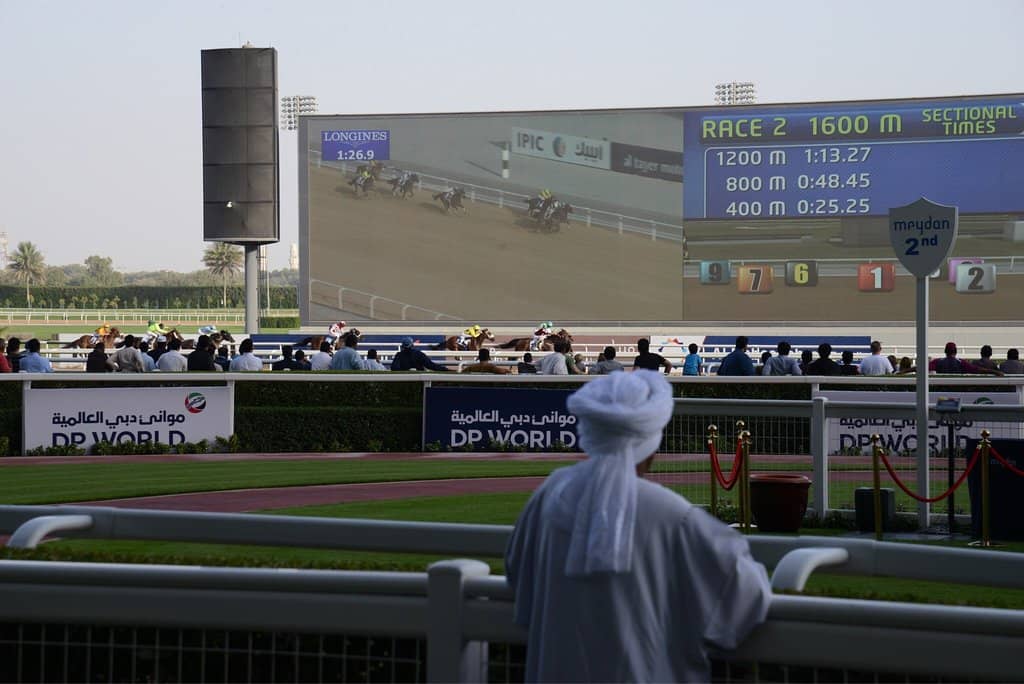 Thoroughbred Racing Action