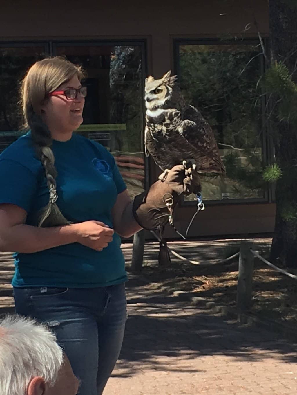 Stargazing & Observatory