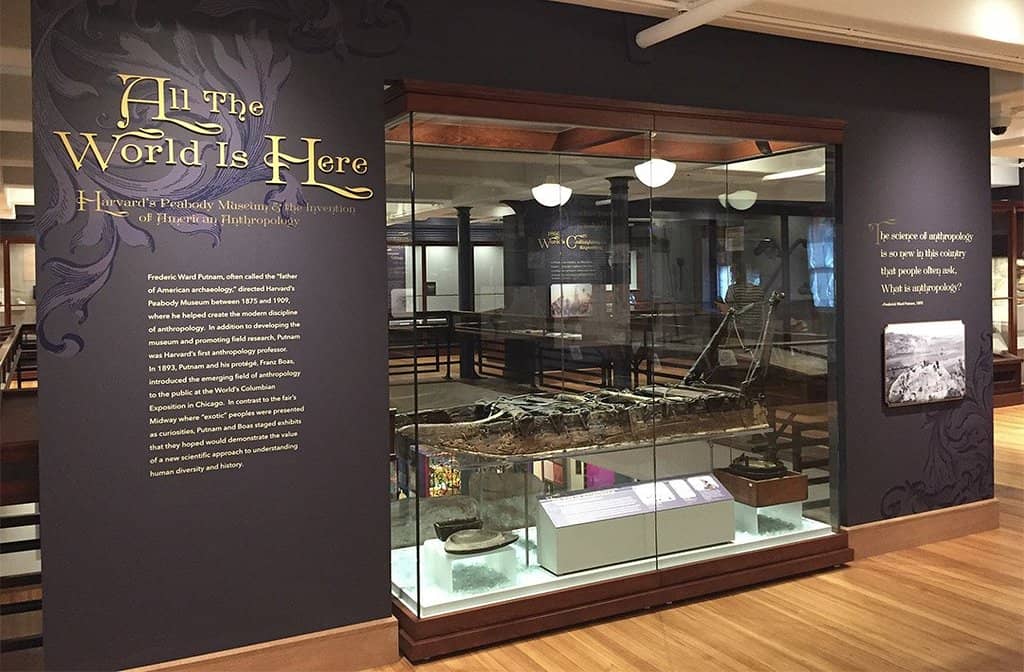 Ancient Egypt & Mesopotamia