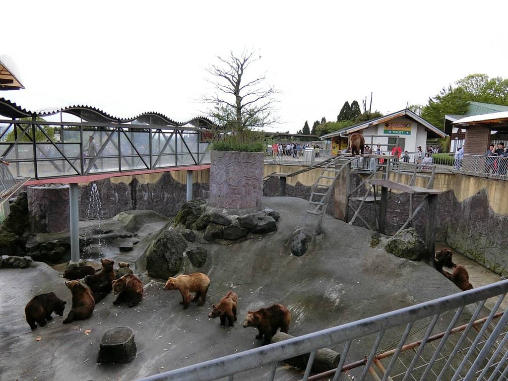 Helicopter Tour of Mt. Aso