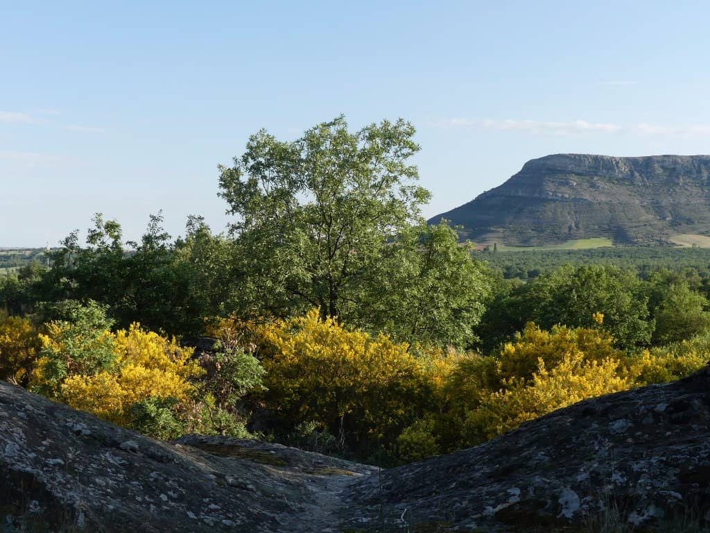Scenic Hiking Trails