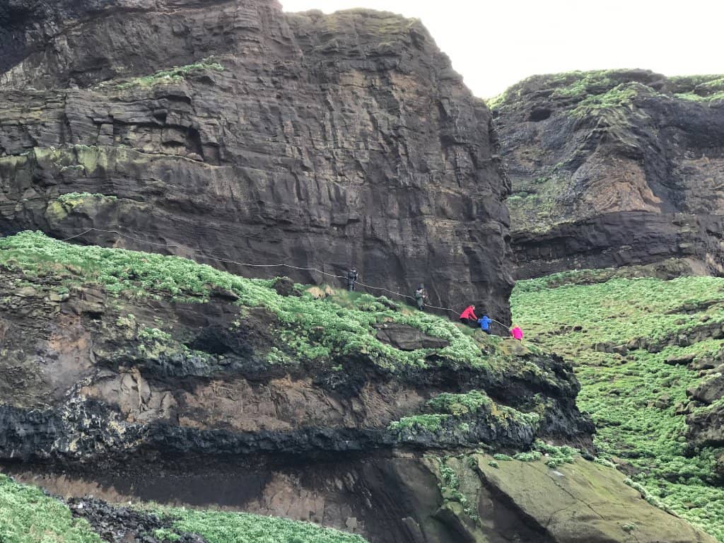 Vertical photo