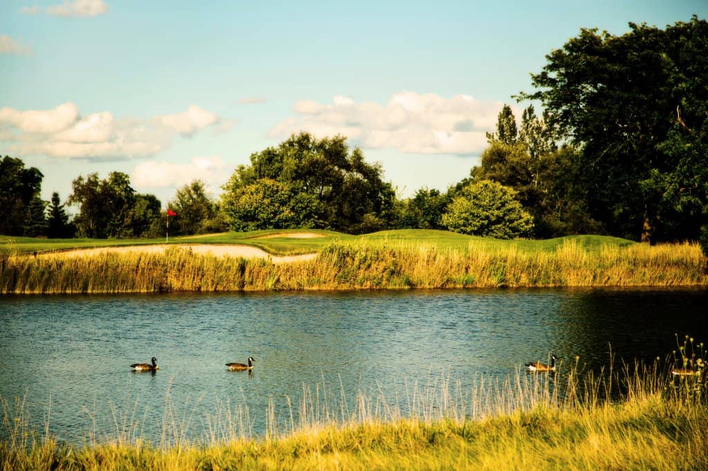 Grand Geneva Resort & Spa