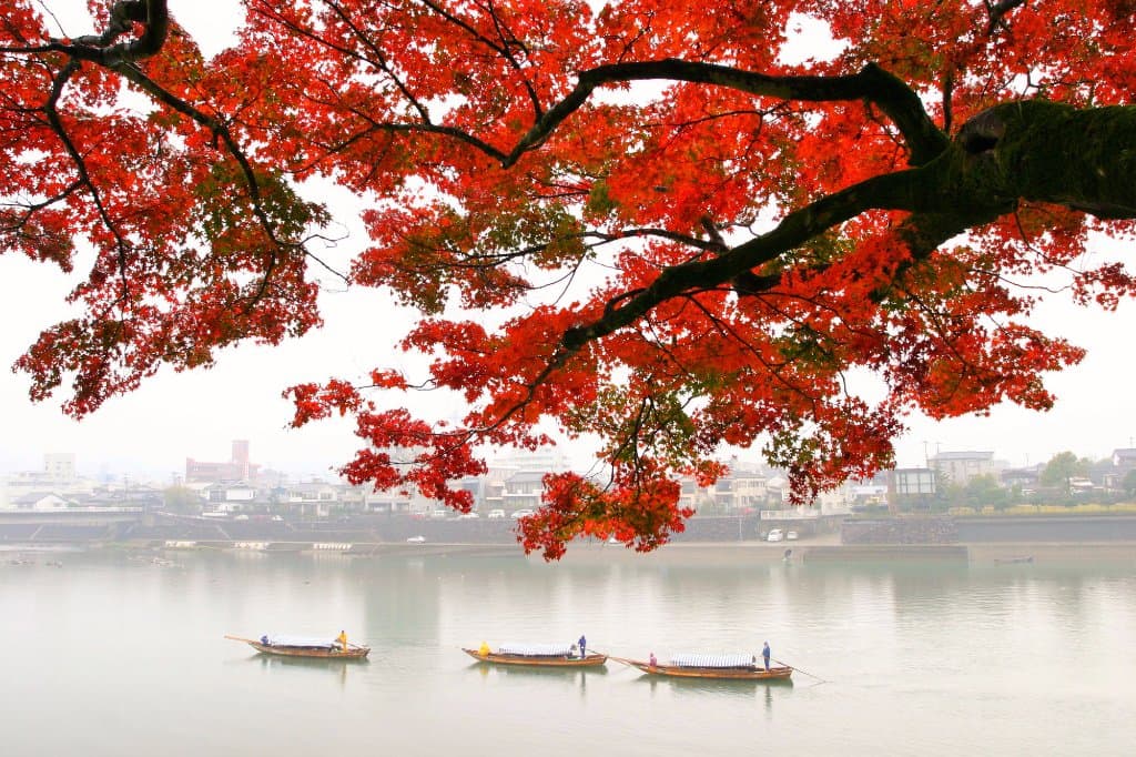 秋の球磨川下り