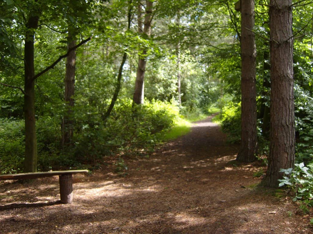 Woodland Trails & Sculptures