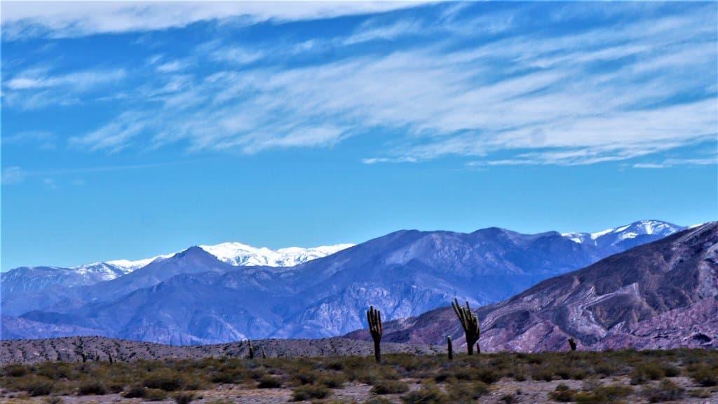 Cardones y Nevado de Cachi