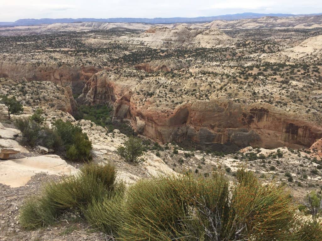 Panoramic Vistas