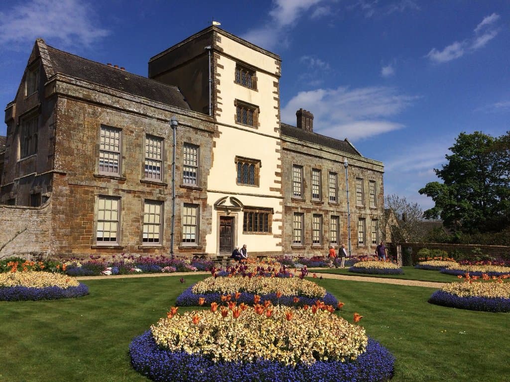 The South side of the house in Spring