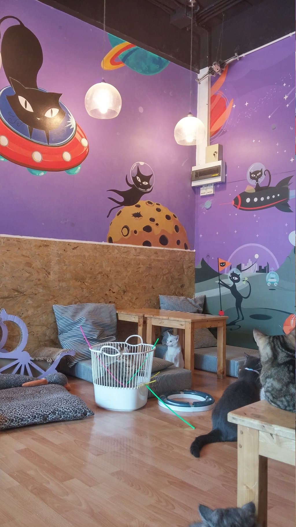 Catmosphere Cafe