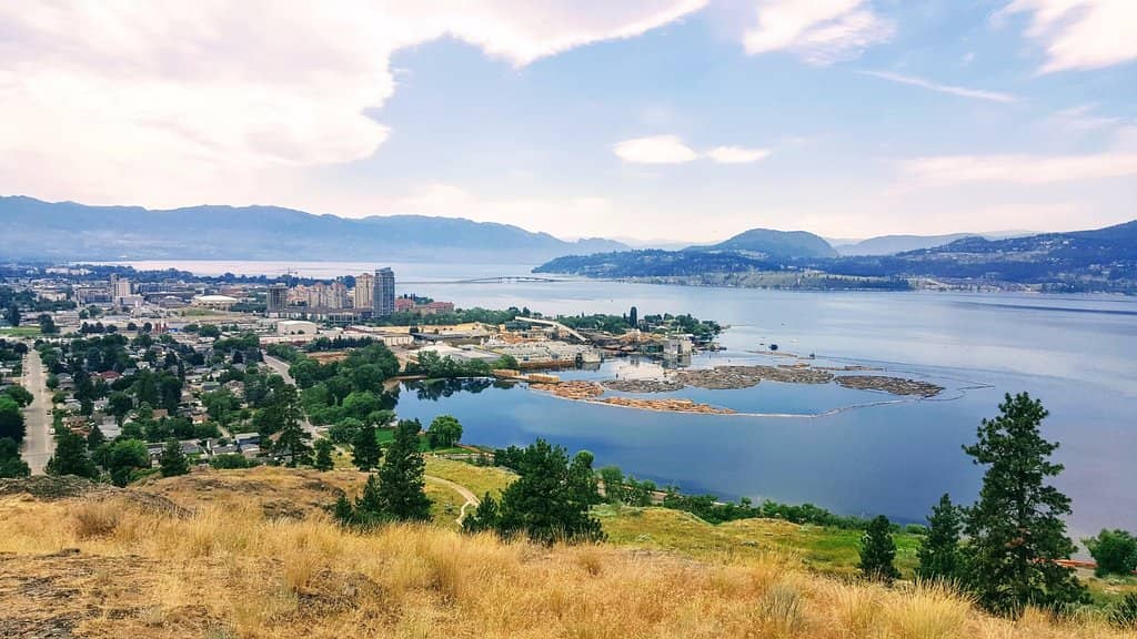 Panoramic City Vistas