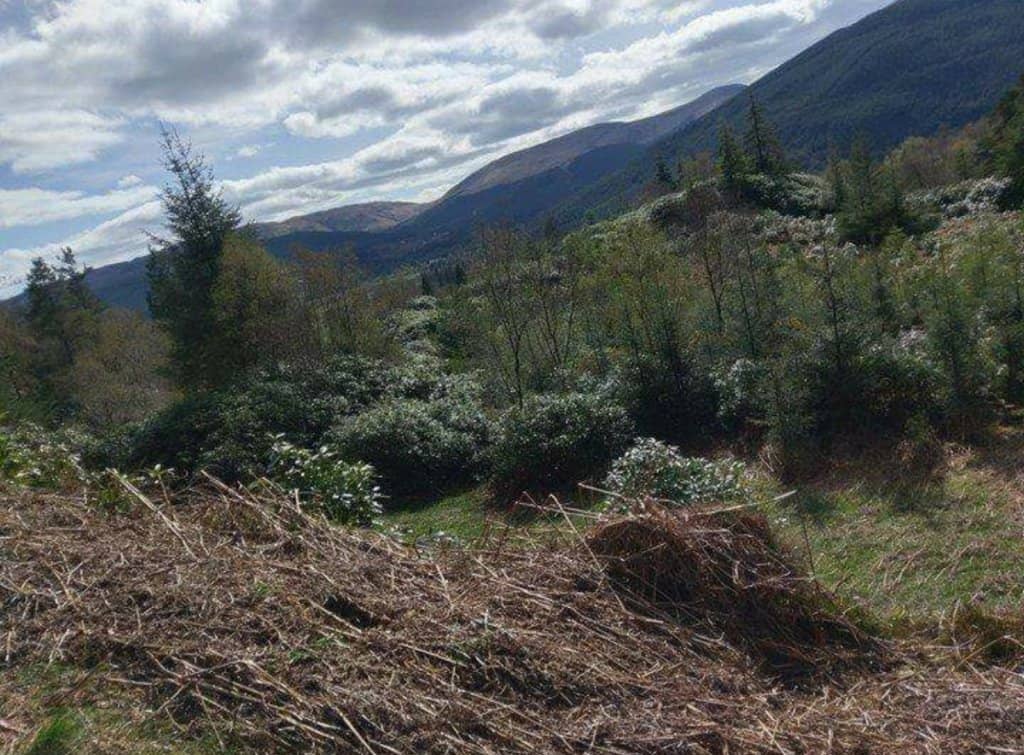 Victorian Gorge Walkway