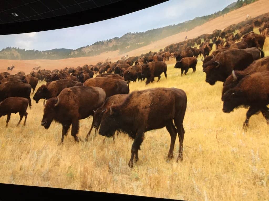 Outdoor Exploration Zone