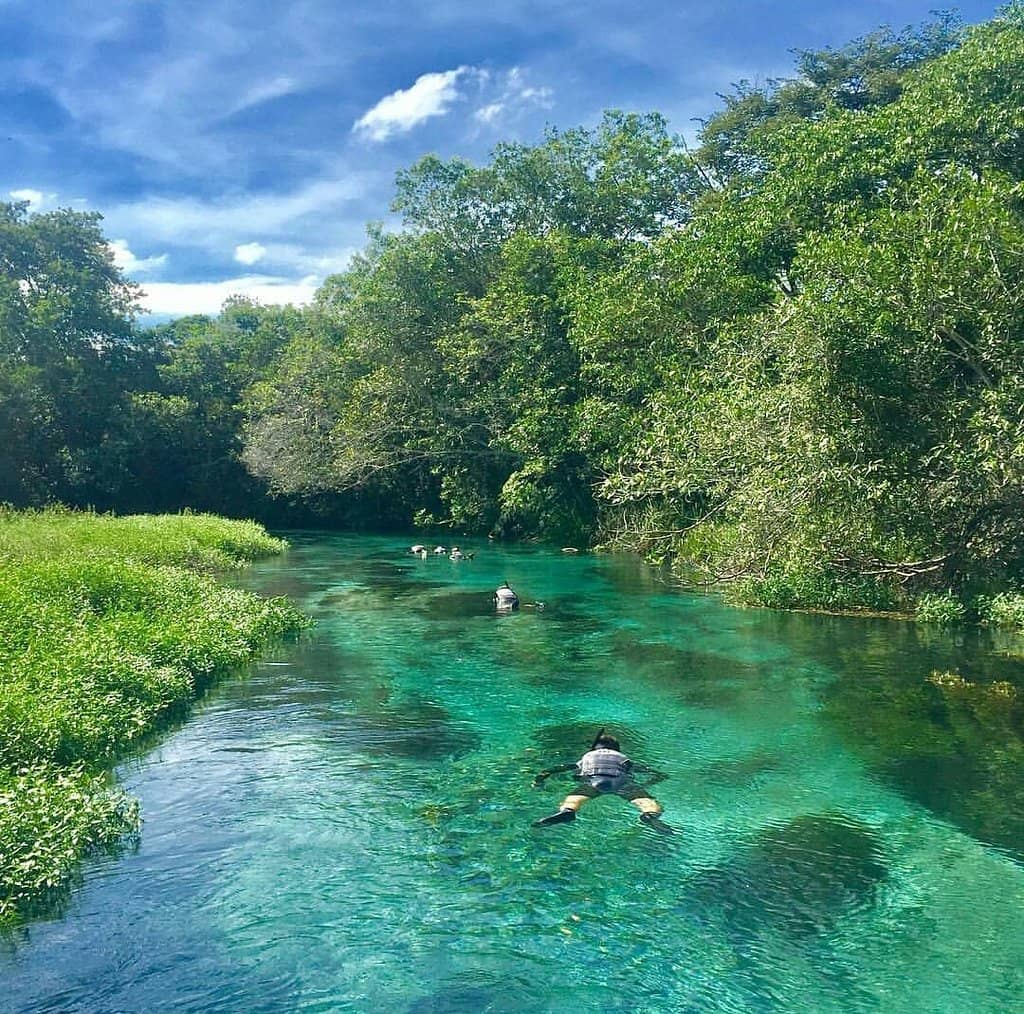 Scenic Riverbanks