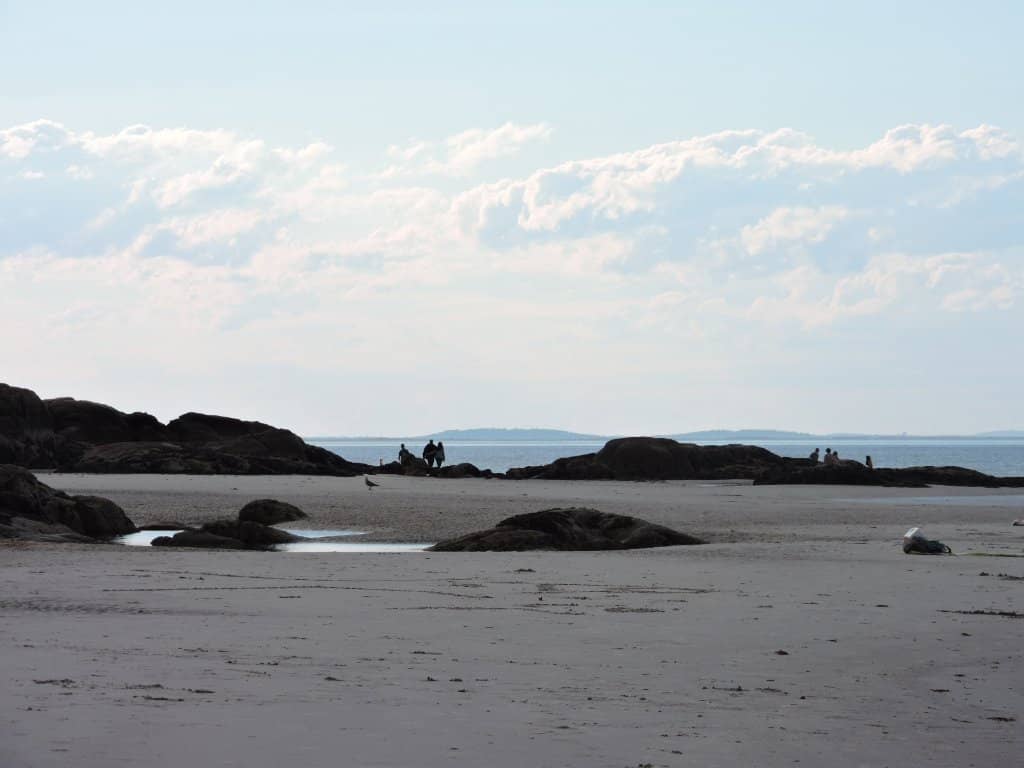 Tide Pool Exploration