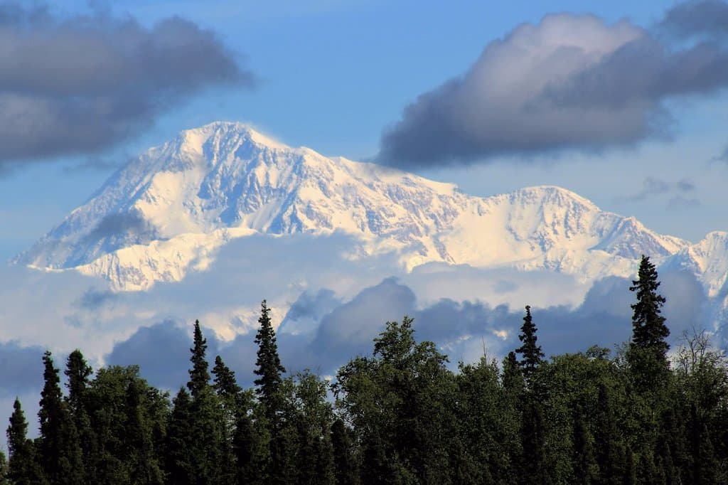 State Park View of Denali