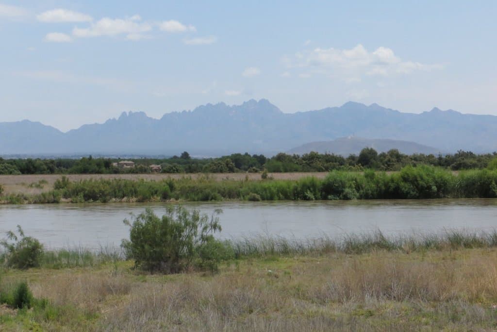 Mesilla Valley Bosque State Park