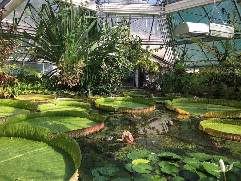 ELTE Botanical Garden Budapest