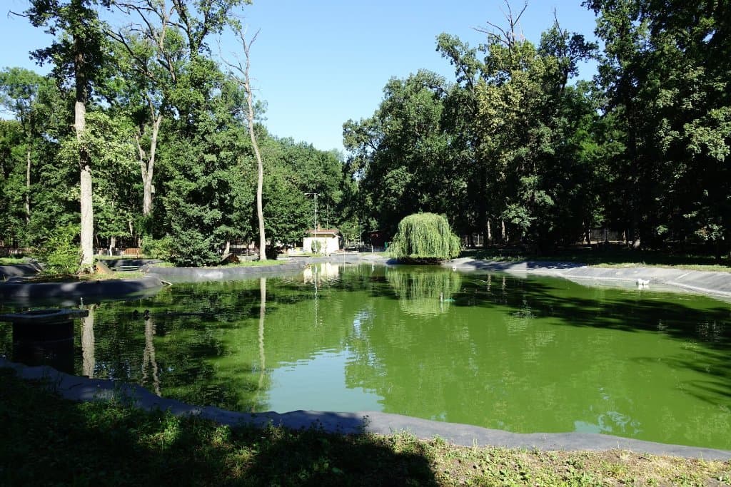 Timișoara Zoo