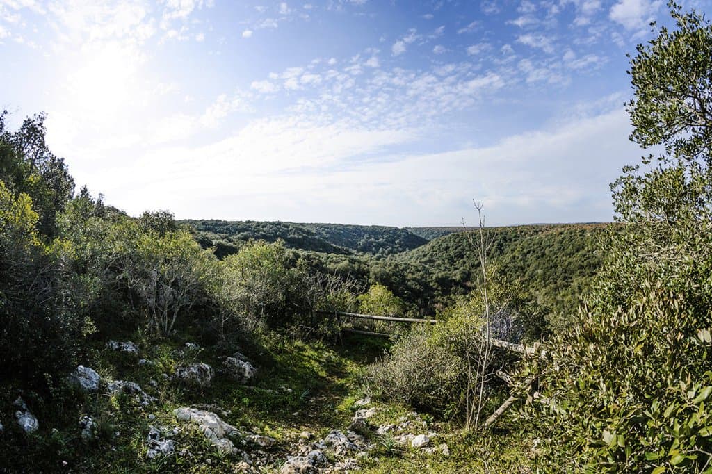 Punto panoramico sulla gravina delle Pianelle